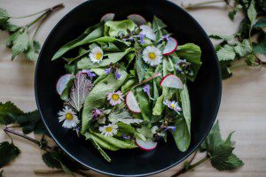 salat-jarni-bylinky